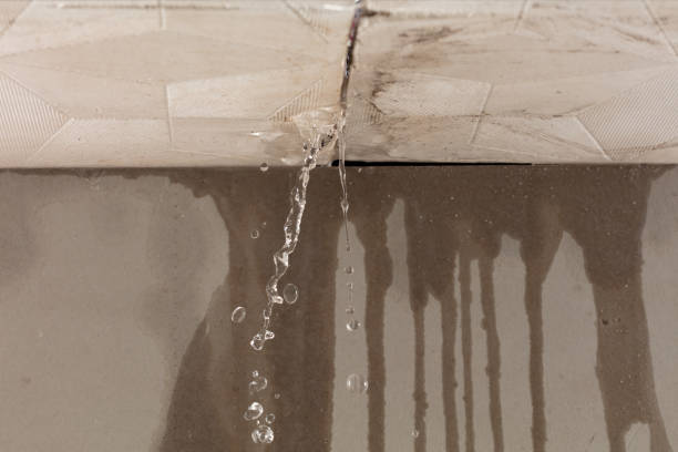 Professional Burst Pipe Cleanup technician working in Wellesley, MA